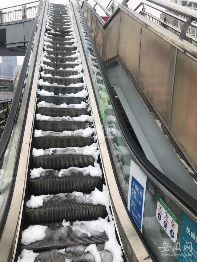 发现该十字路口人行天桥共设置了3部露天手扶电梯,都处停运状态,而且