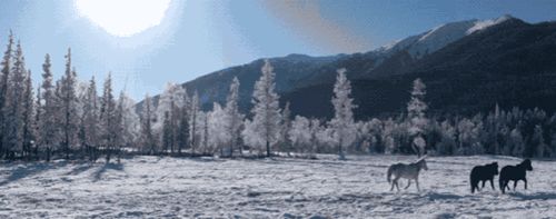 今年的圣诞、新年，到这里过就完美了！休闲区蓝鸢梦想 - Www.slyday.coM