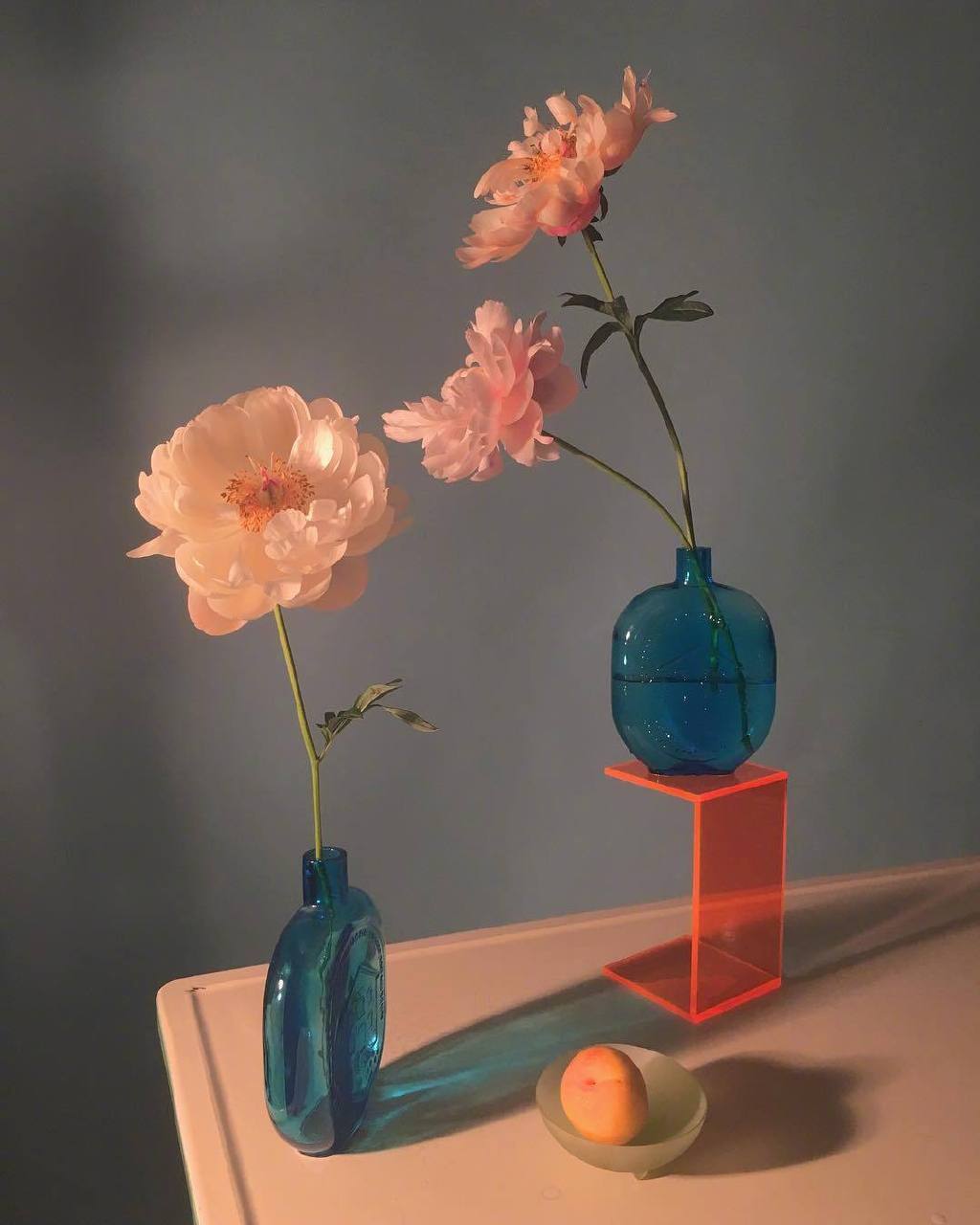 花与静物doan Ly 高清图集 新浪网 花与静物doan Ly 高清图集 新浪网