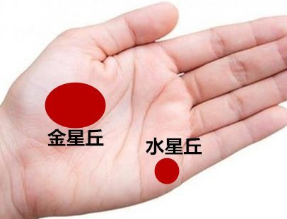 掌中有豪宅纹豪宅纹在无名指的下方,在感情线的上方,有一个星纹,或跟