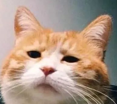 清华女研究生想落户上海！却被“飞来的社保”把户口砸没了？休闲区蓝鸢梦想 - Www.slyday.coM