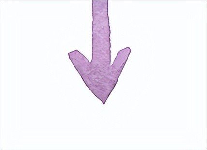 周迅金九封面超常发挥赢过章子怡！穿香奈儿尽显摩登范，越长越嫩休闲区蓝鸢梦想 - Www.slyday.coM