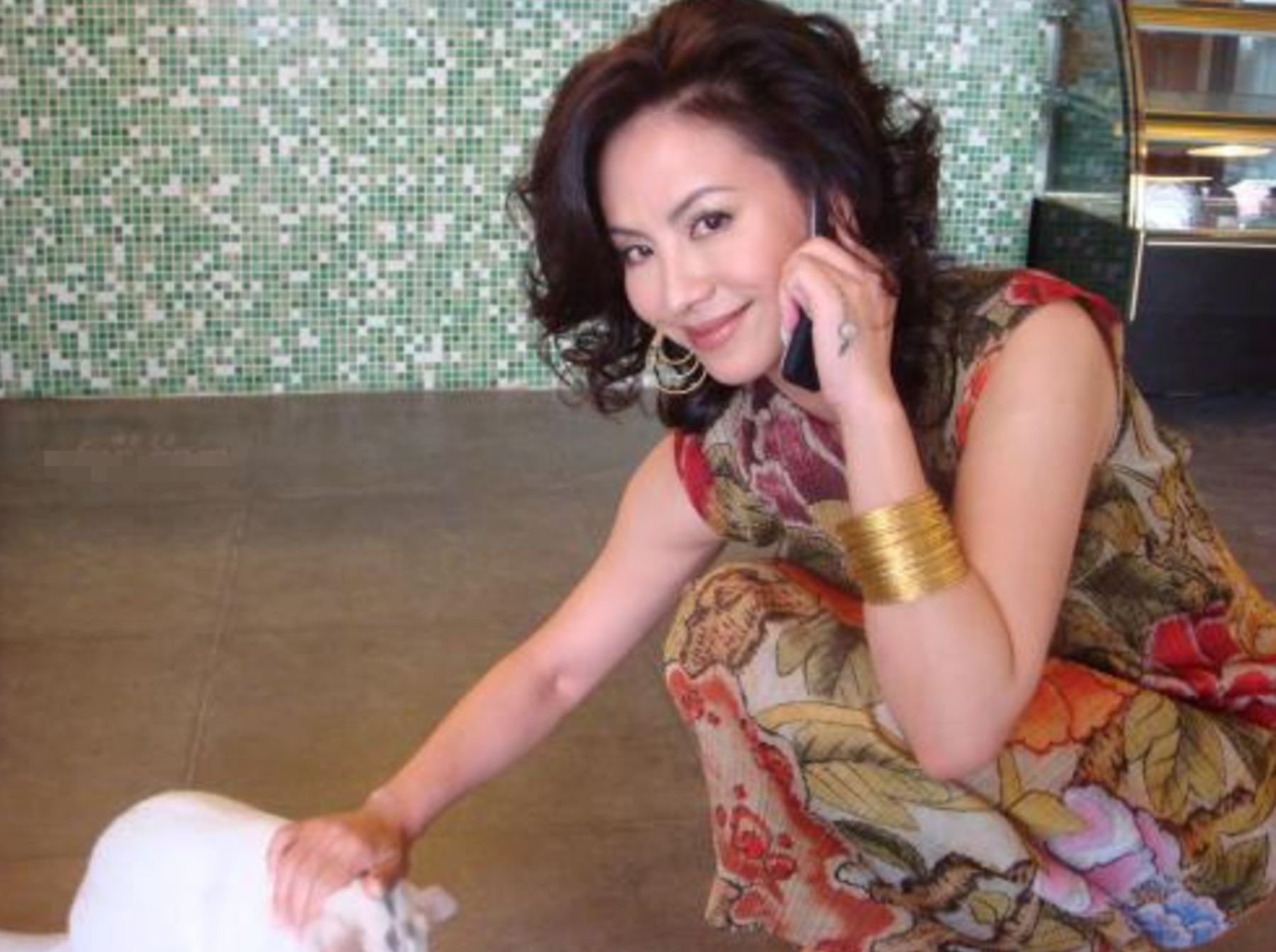 田丽台湾第一美人遭马景涛家暴又遭富商抛弃53岁单身一人