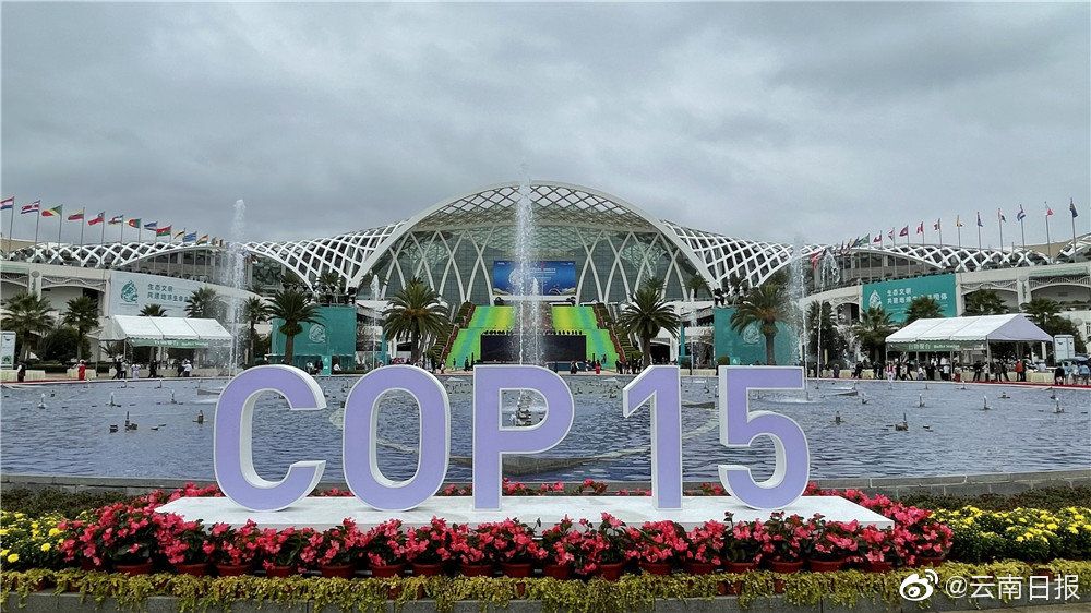 现场图集来了cop15大会在昆明开幕