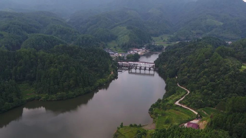 泰宁县大龙乡角溪村：小鱼儿“游”出富民大产业|永安|产业链|角_新浪新闻