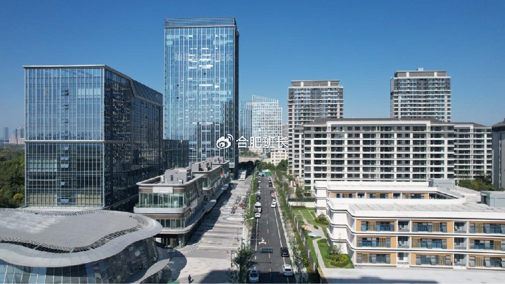 合肥包河区野鸡分布调查,揭秘聚集地生态特征