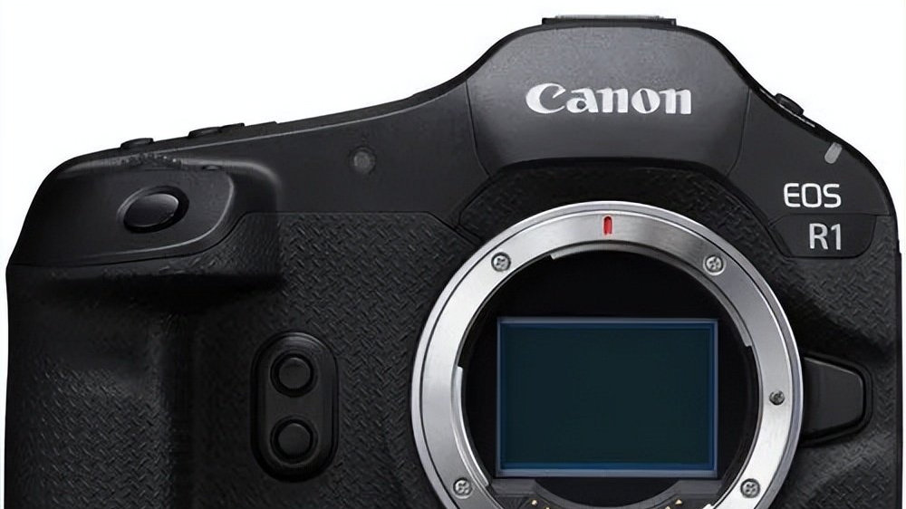 传闻 | 佳能正在研发高像素EOS R1X，索尼8月28日将召开新品发布会|佳能（Canon）|佳能EOS R1|新产品发布|尼康|相机_新浪新闻