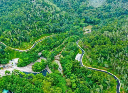 青龙山环山绿道图片