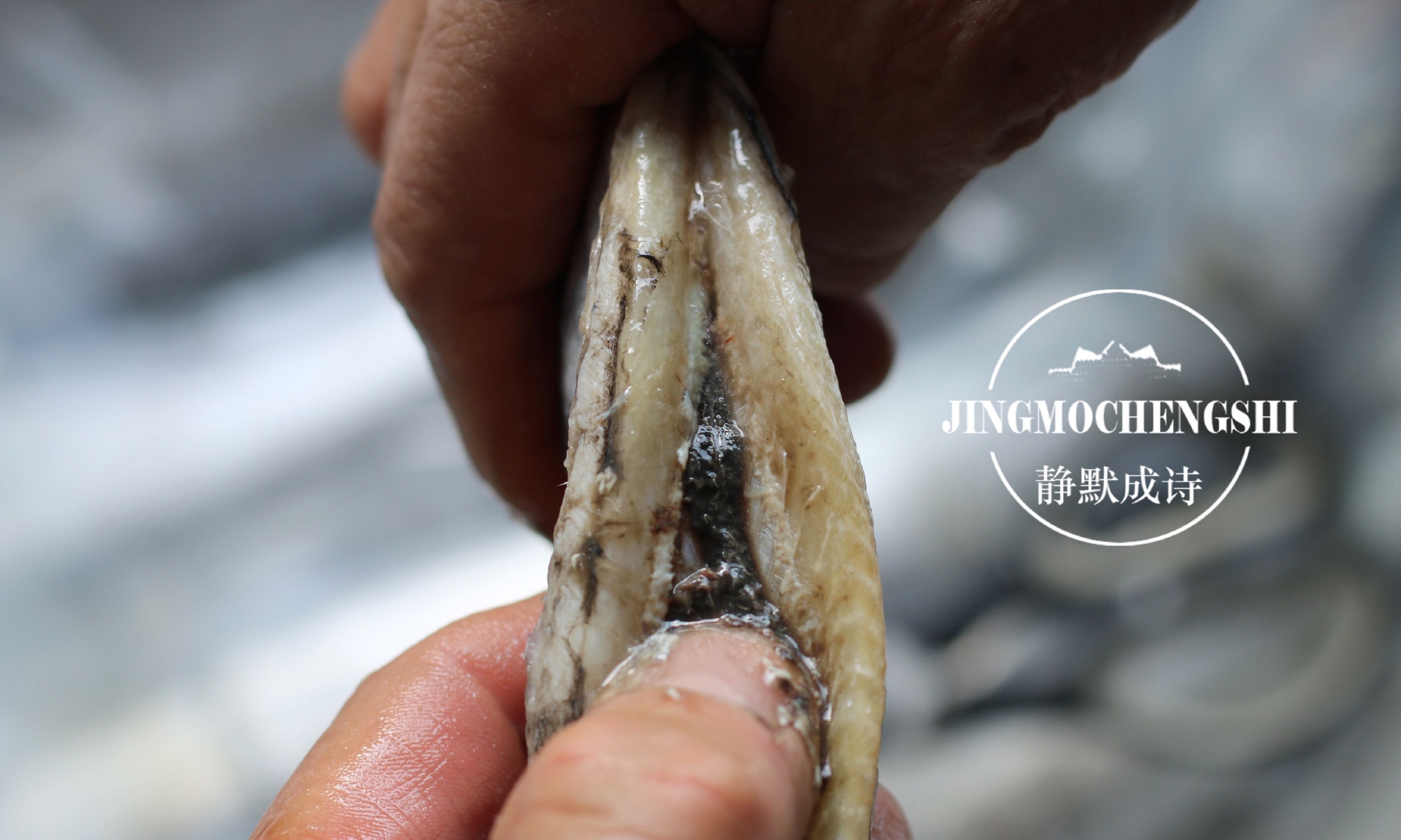 带鱼此做法从小吃到大鲜香入味儿两块鱼就能下一碗饭