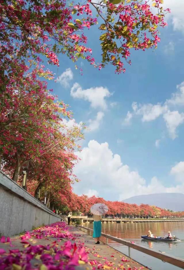 肇庆绝美“冬装”惊艳上线！错过了，就得再等一年……休闲区蓝鸢梦想 - Www.slyday.coM