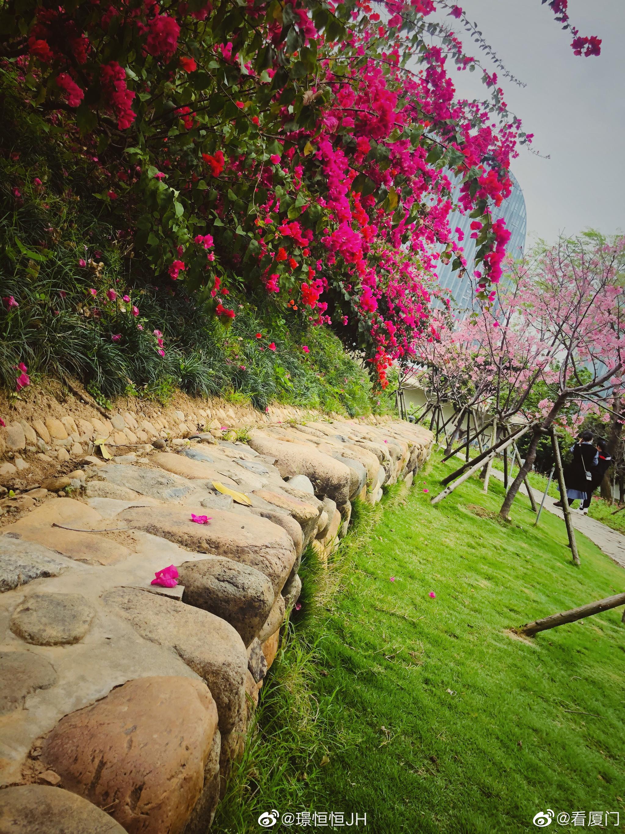 大屏山郊野公园