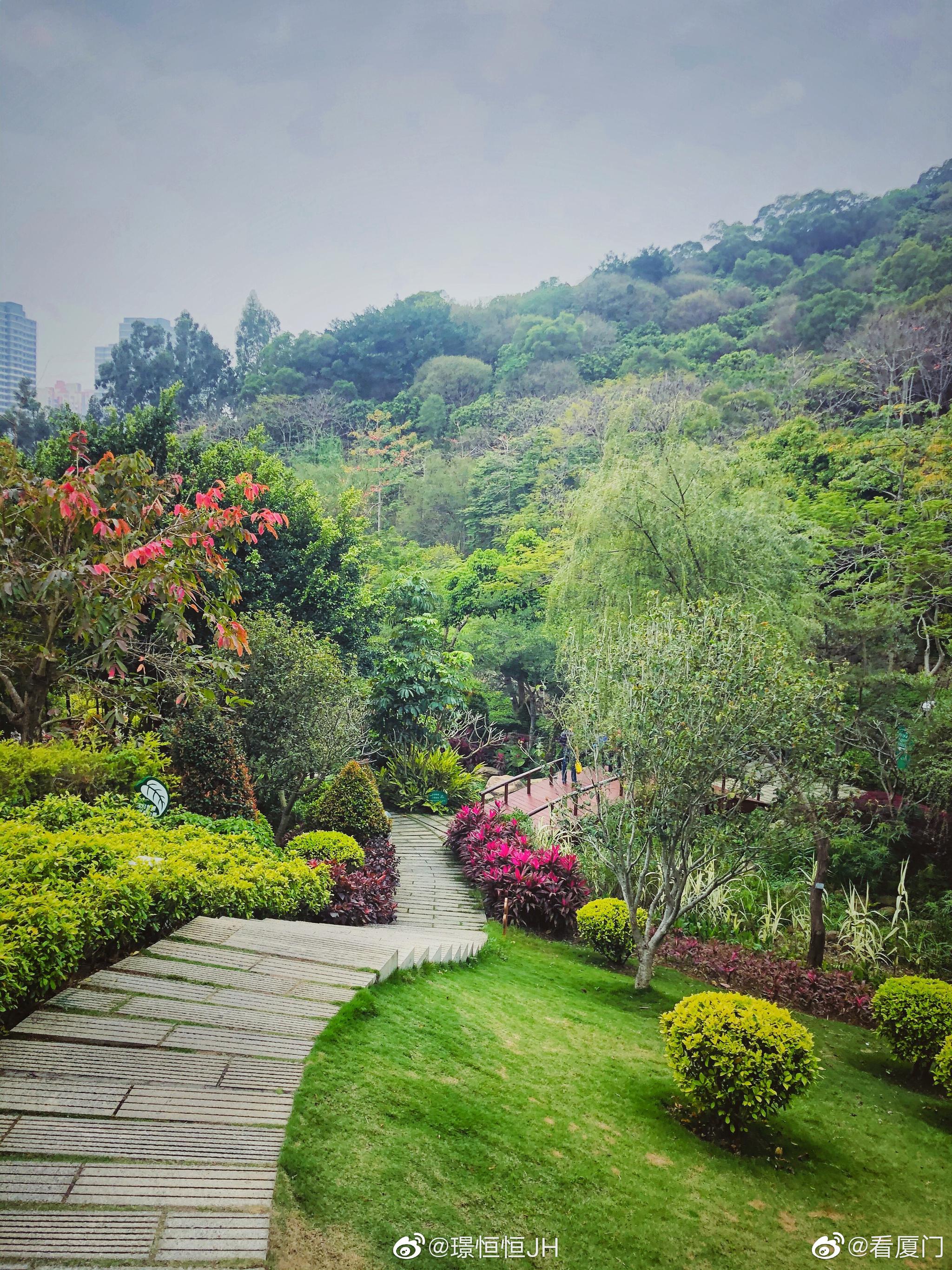 大屏山郊野公园