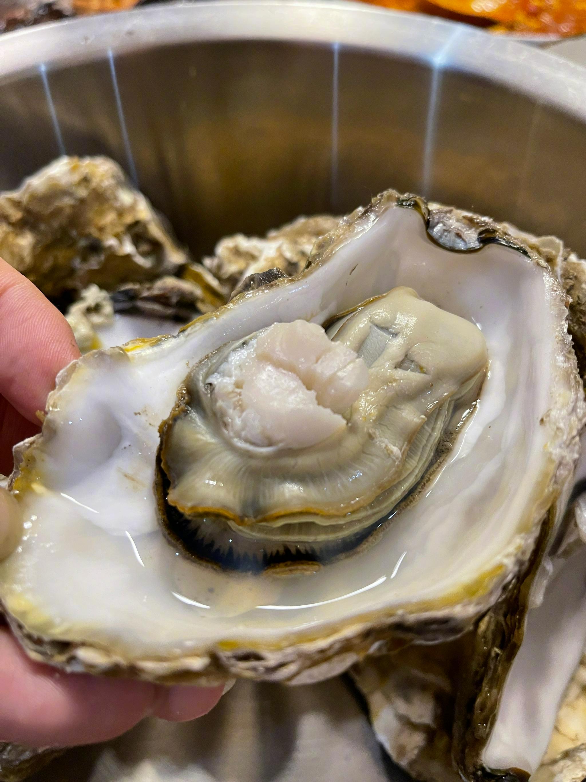 乳山生蚝配新西兰长相思干白