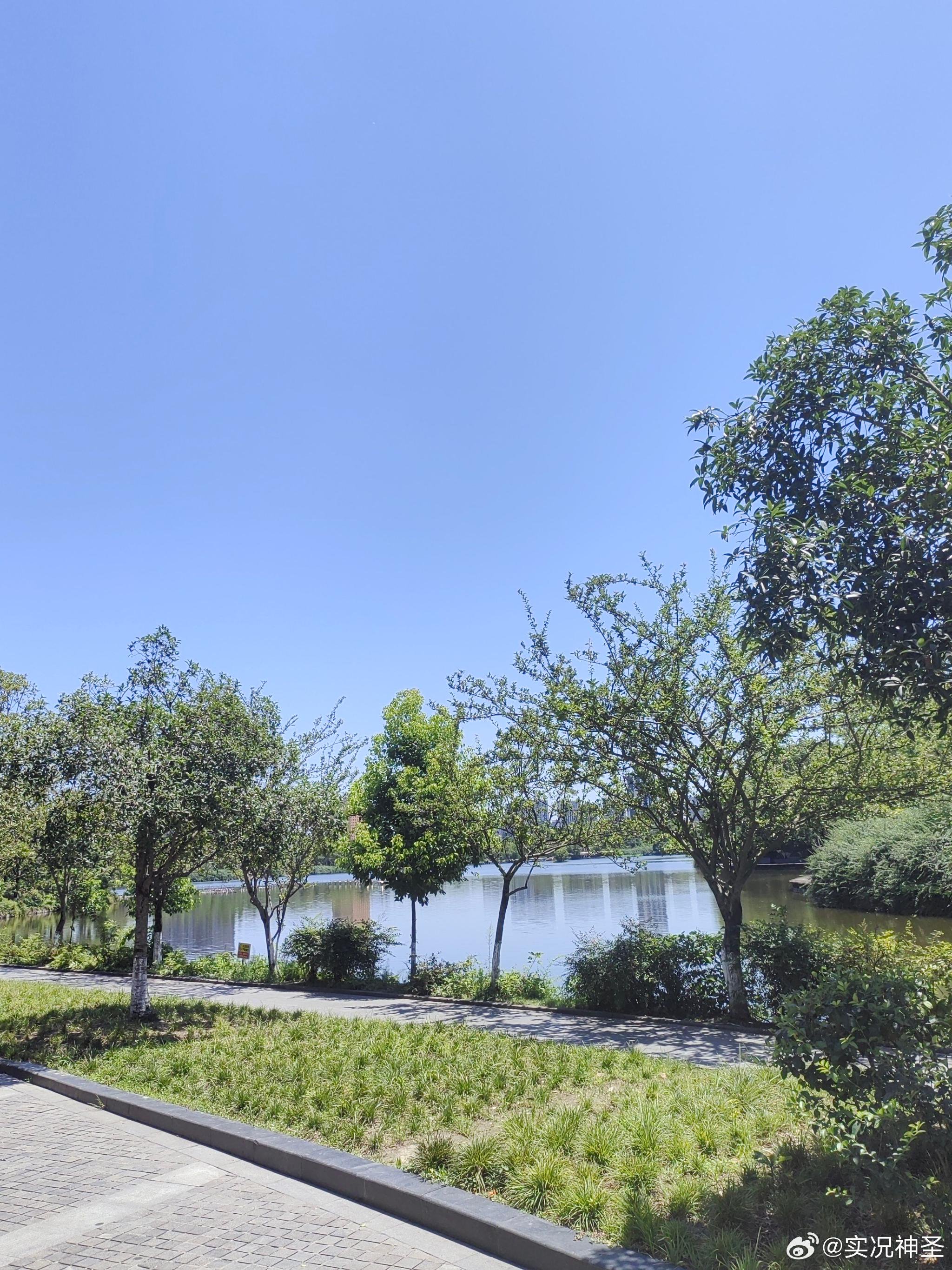 分享四川成都夏天的美景