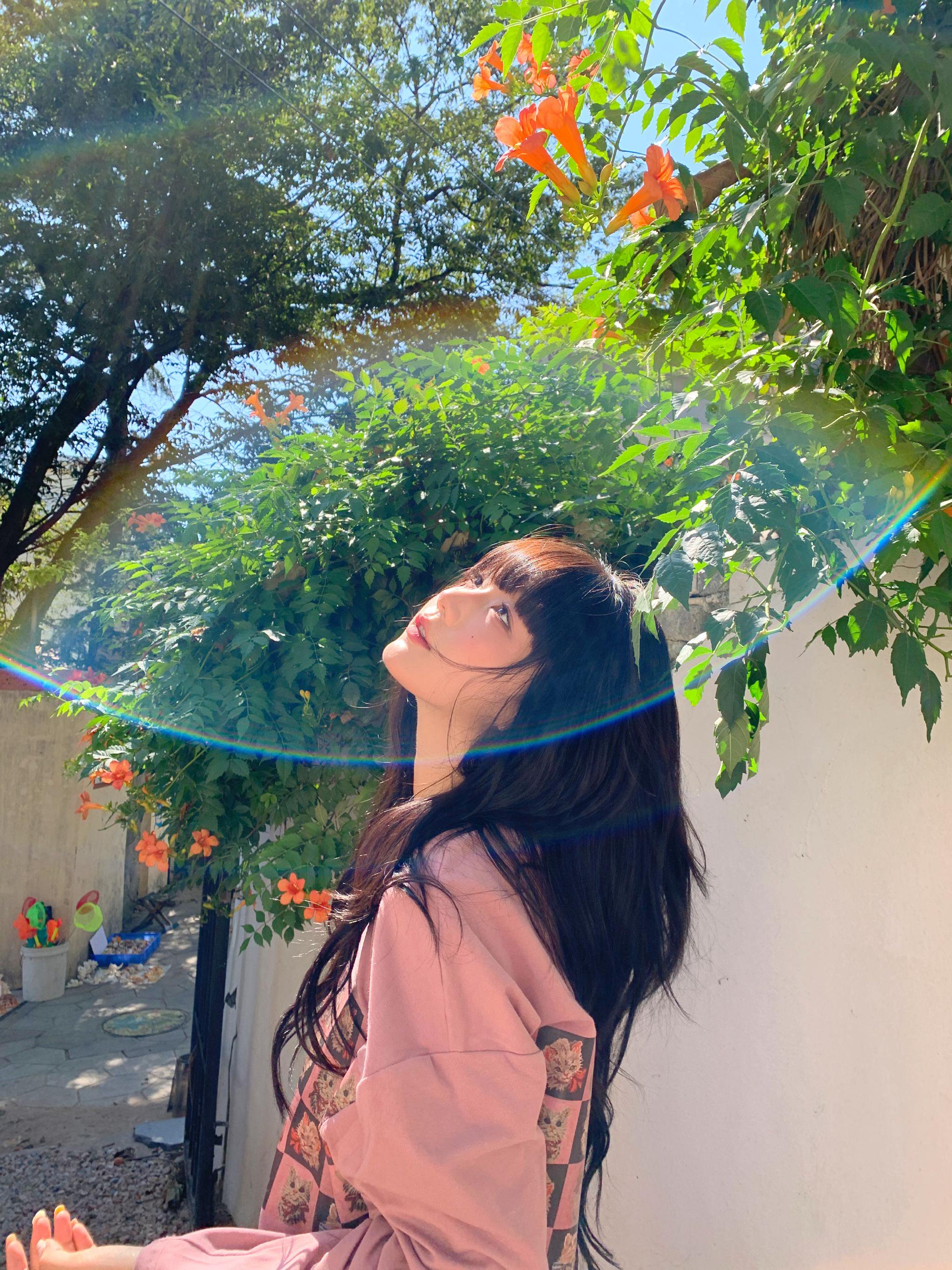 手机拍照初秋版|摄影拍照_新浪新闻