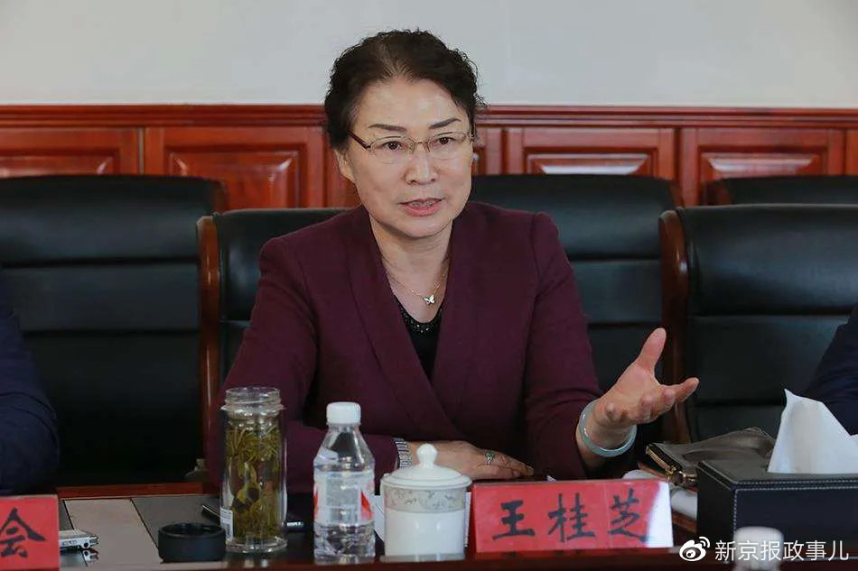 王桂芝,严重职务违法并涉嫌受贿犯罪