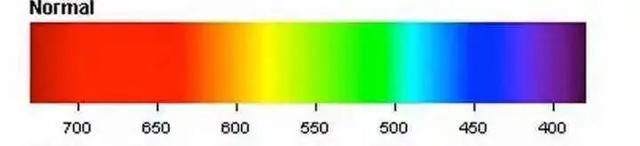 看绿色保护视力？正确护眼怎么做？开学季听江苏疾控专家科普休闲区蓝鸢梦想 - Www.slyday.coM