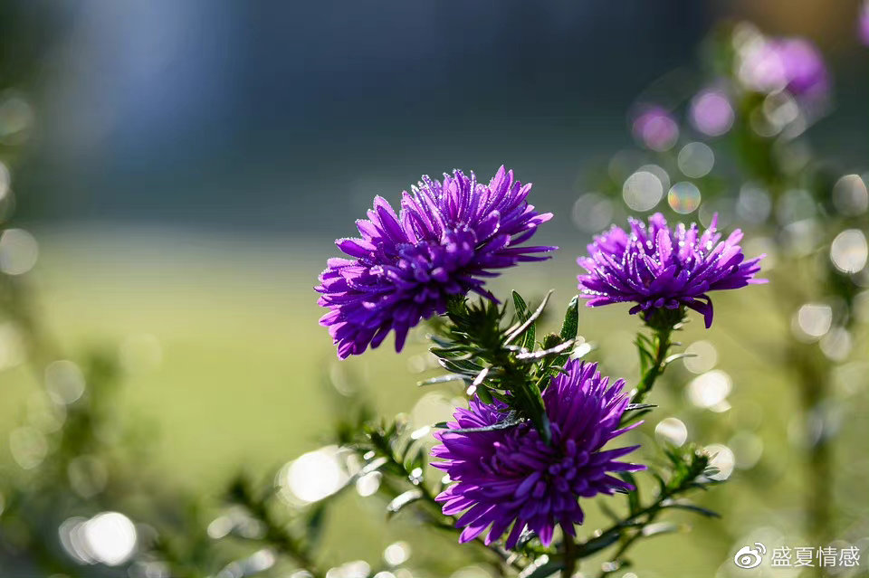 当一个男人真正对你动了情,不会直接说“我爱你”,但会有这3个变化休闲区蓝鸢梦想 - Www.slyday.coM 当一个男人真正对你动了情,不会直接说“我爱你”,但会有这3个变化休闲区蓝鸢梦想 - Www.slyday.coM