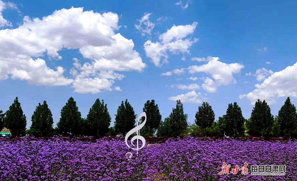 白银同城约初中生100元——那些你可能不知道的真相揭秘