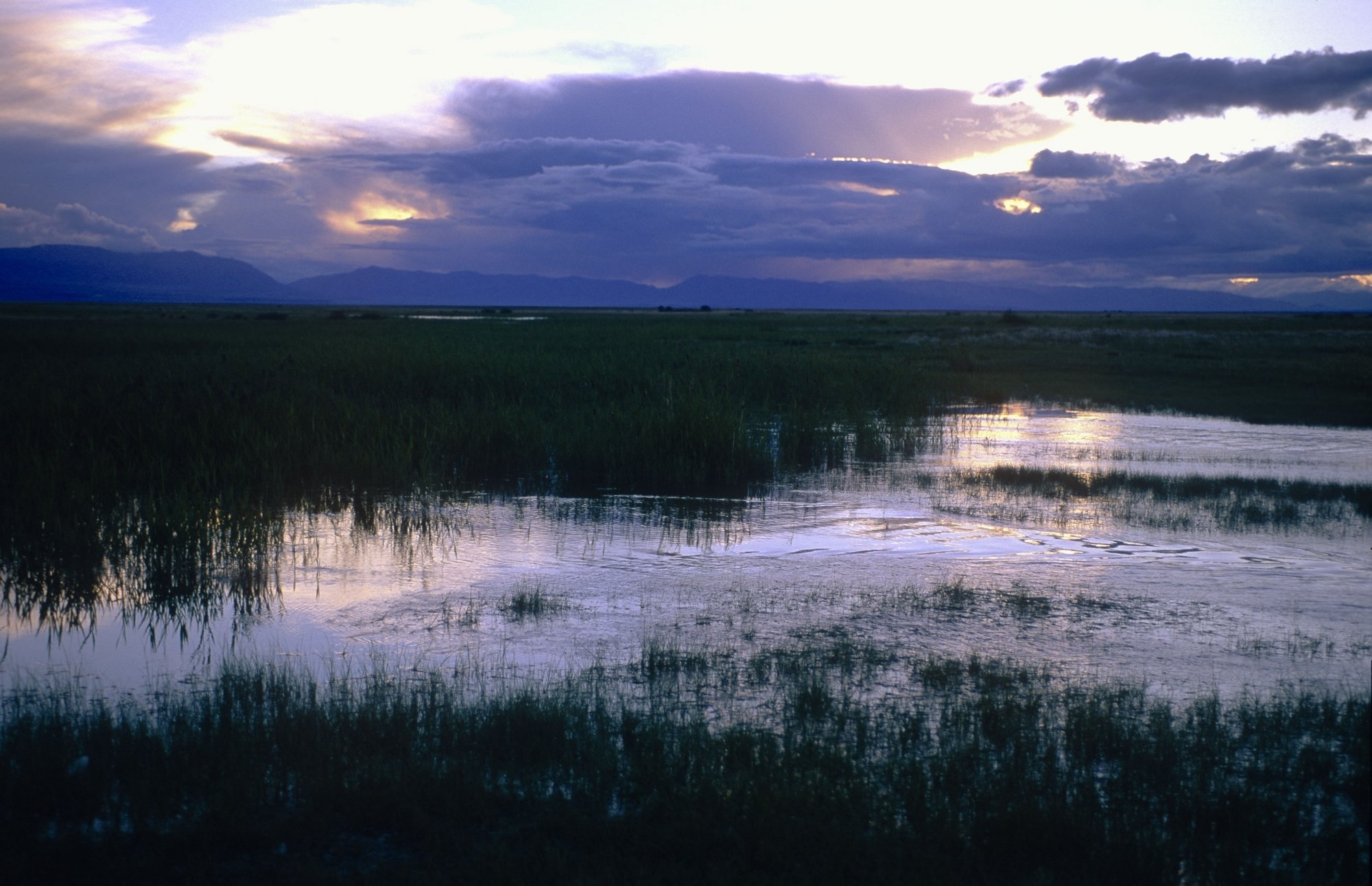 乌布苏湖盆地图片