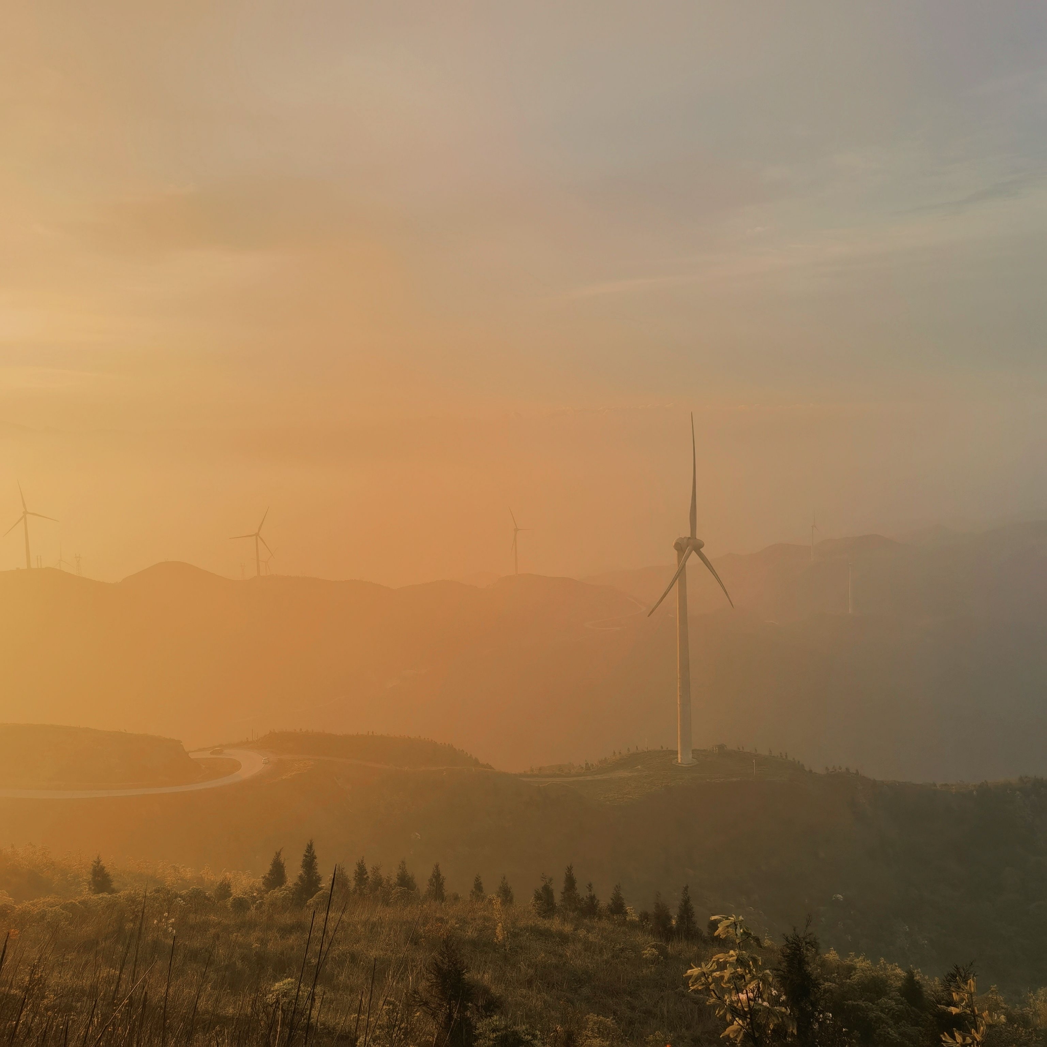 真诚是行动不是言语