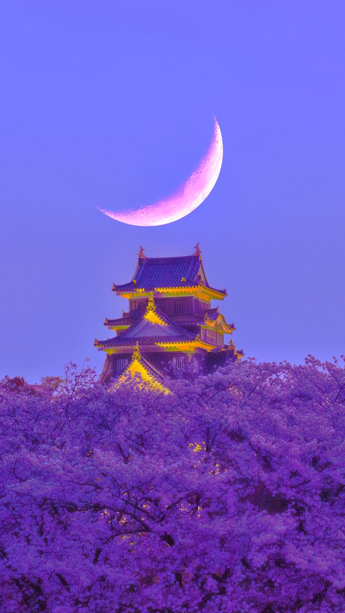 摄影师时町空镜头下的樱城月夜 每一张都绝美的可以用来当壁纸