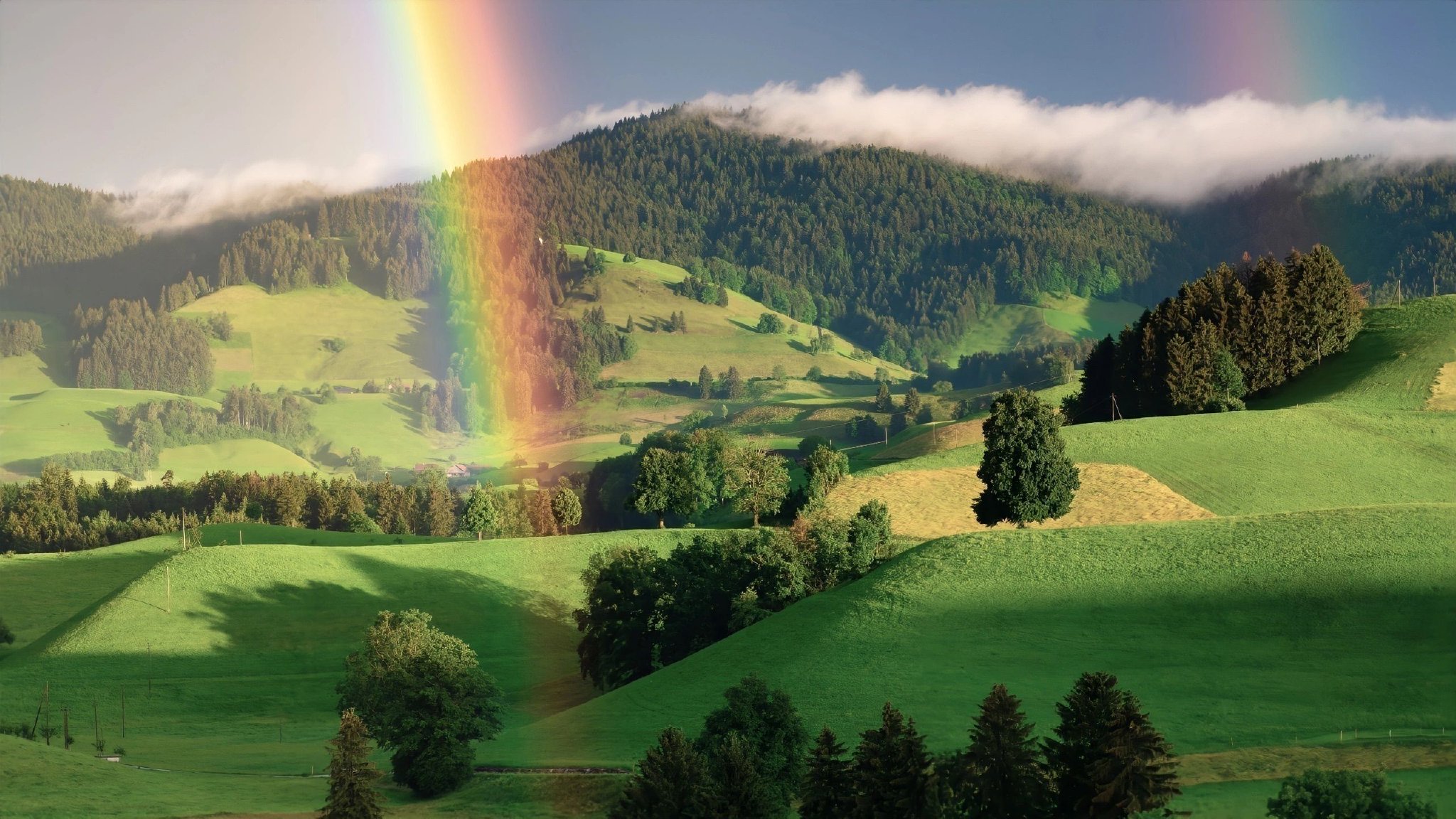 换新的电脑ipad壁纸啦!