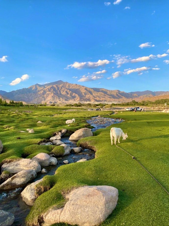 "少与人纠缠 多看大自然"_高清图集_新浪网