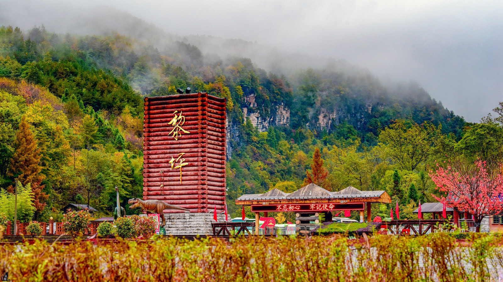 今秋红动川陕的黎坪红叶又要火出圈了!