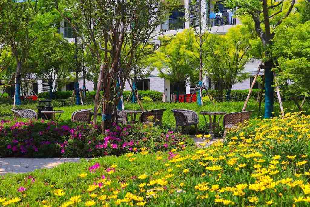 蓝莓评测|为探索理想退休生活,我住进了养老社区休闲区蓝鸢梦想 - Www.slyday.coM 蓝莓评测|为探索理想退休生活,我住进了养老社区休闲区蓝鸢梦想 - Www.slyday.coM