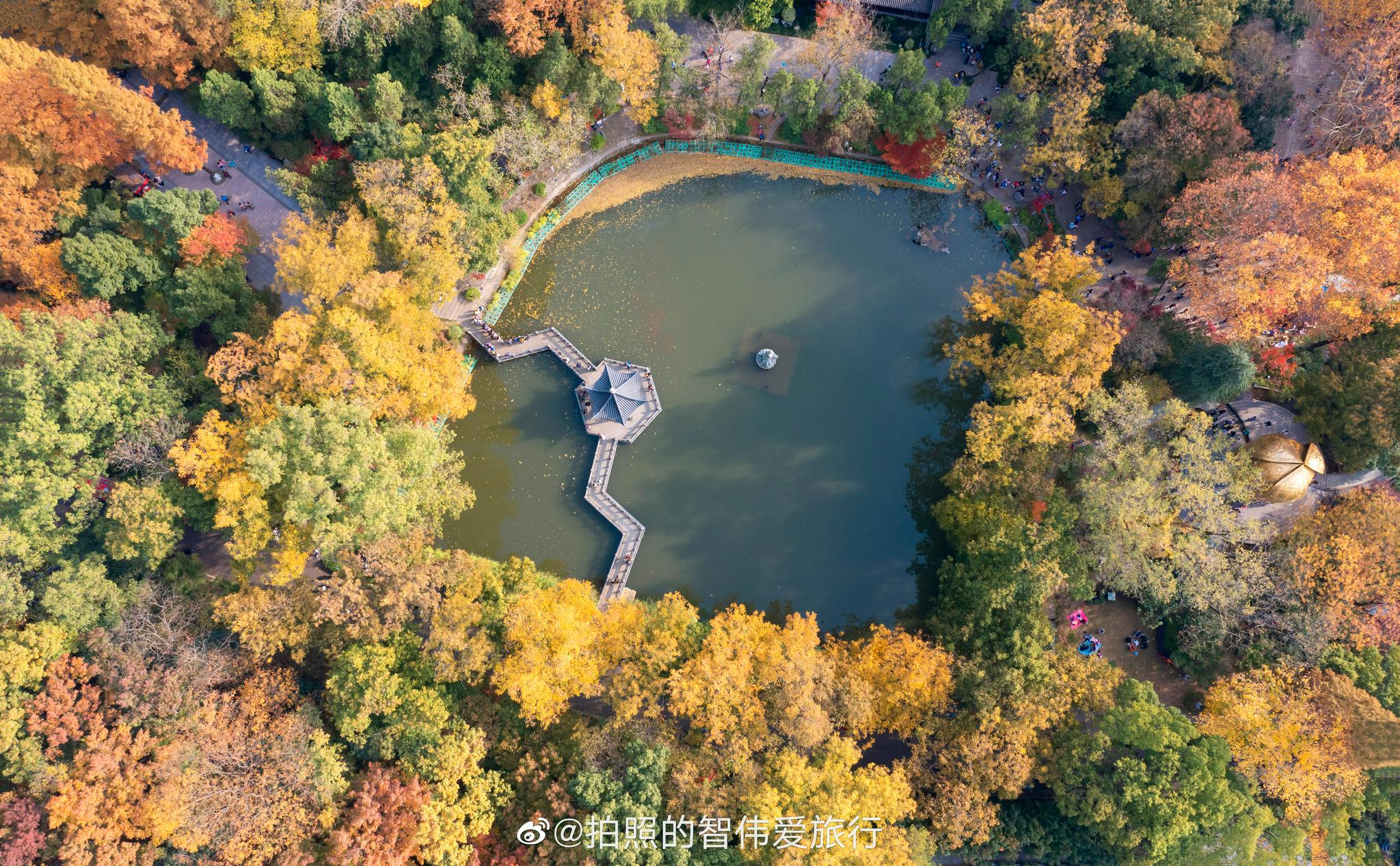 寺庙里的禅意 南京栖霞寺 五彩斑斓的秋财经头条 