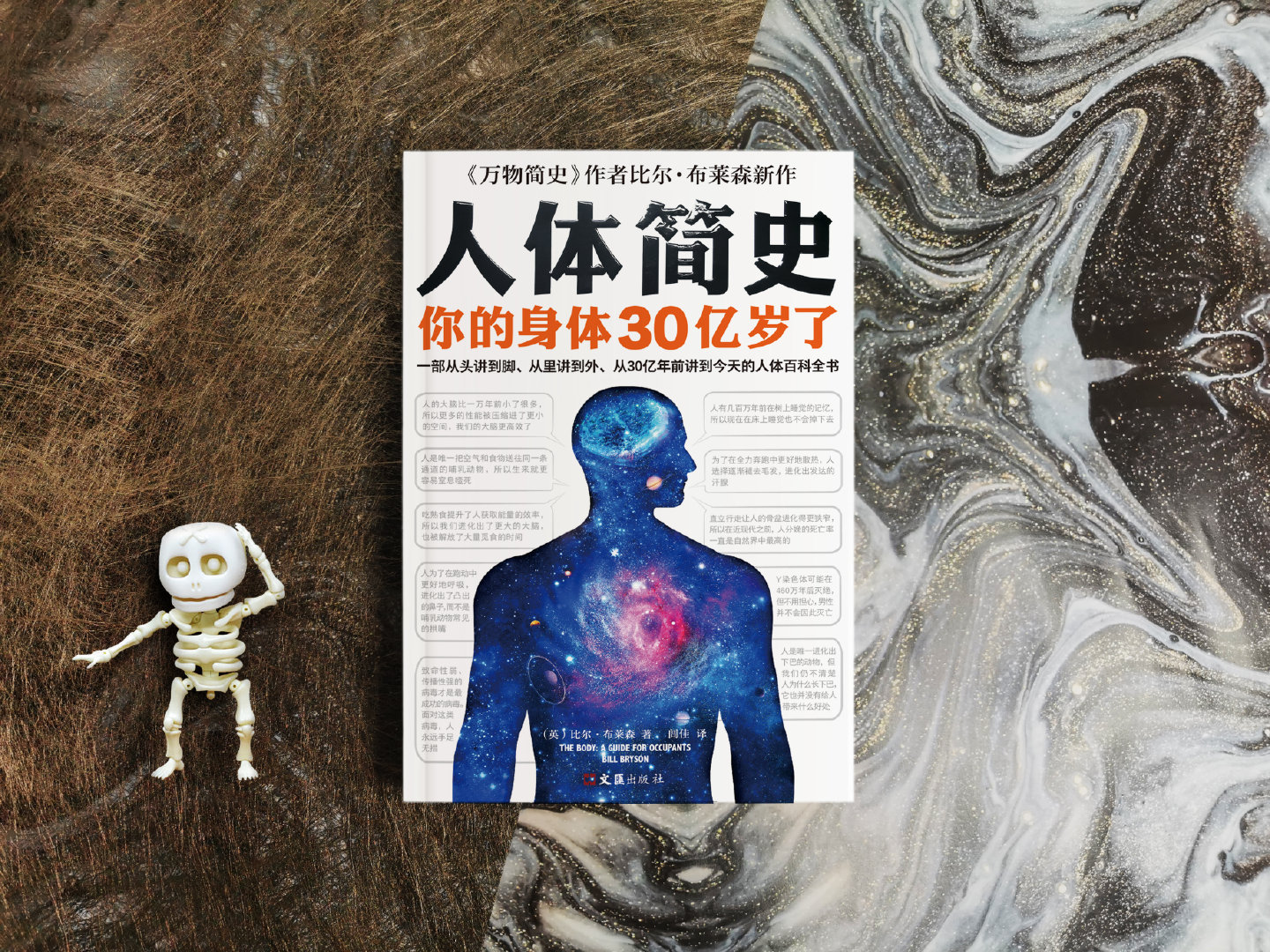 《人体简史》,一部从30亿年前讲到今天的人体百科全书