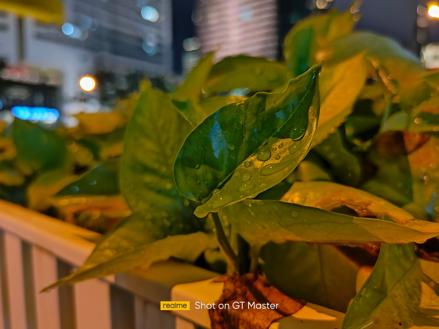 2.三千以下不能兼顾拍照与性能?那是没有遇到realme gt大师探索版