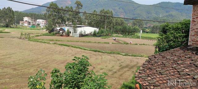 姑父回应“弑母者”吴谢宇被判死刑：如果他上诉，我会全力支持休闲区蓝鸢梦想 - Www.slyday.coM