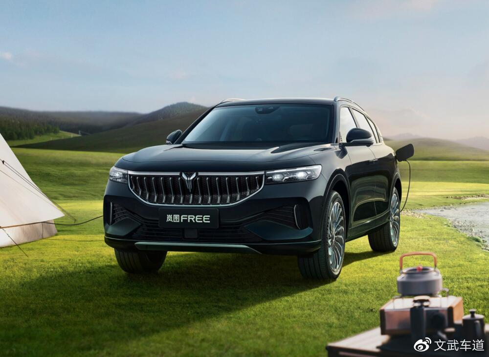 销量持续低迷,东风岚图还能"画饼充饥"吗?-新浪汽车