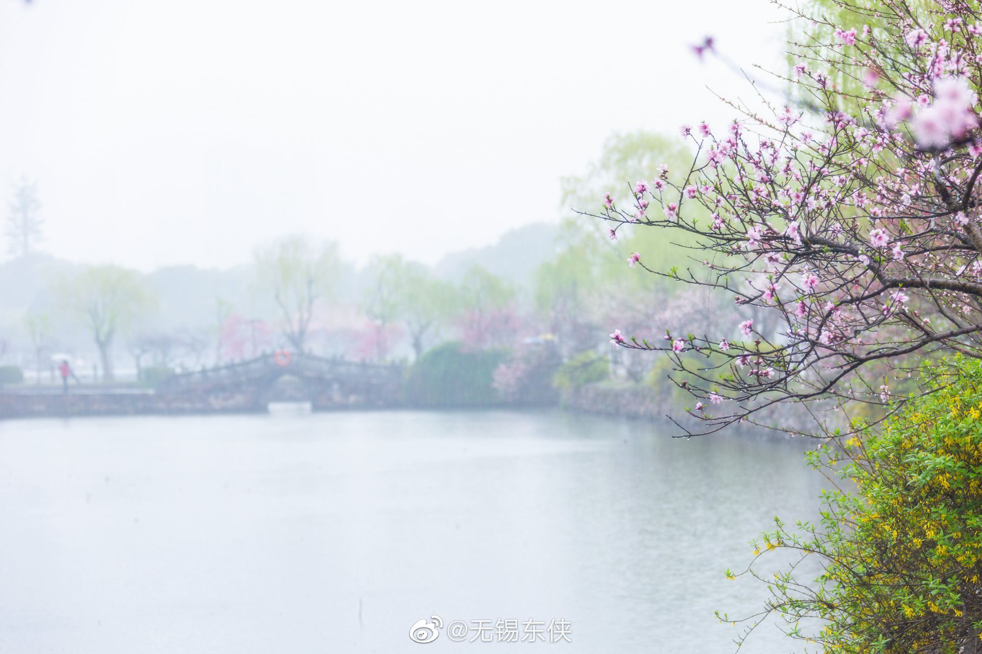 细雨如丝,薄雾如烟……__财经头条