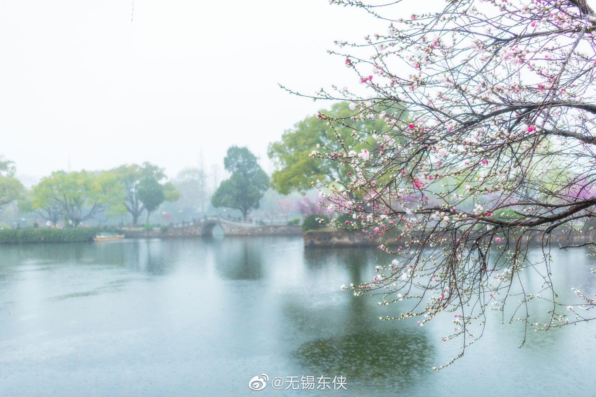 细雨如丝,薄雾如烟……__财经头条