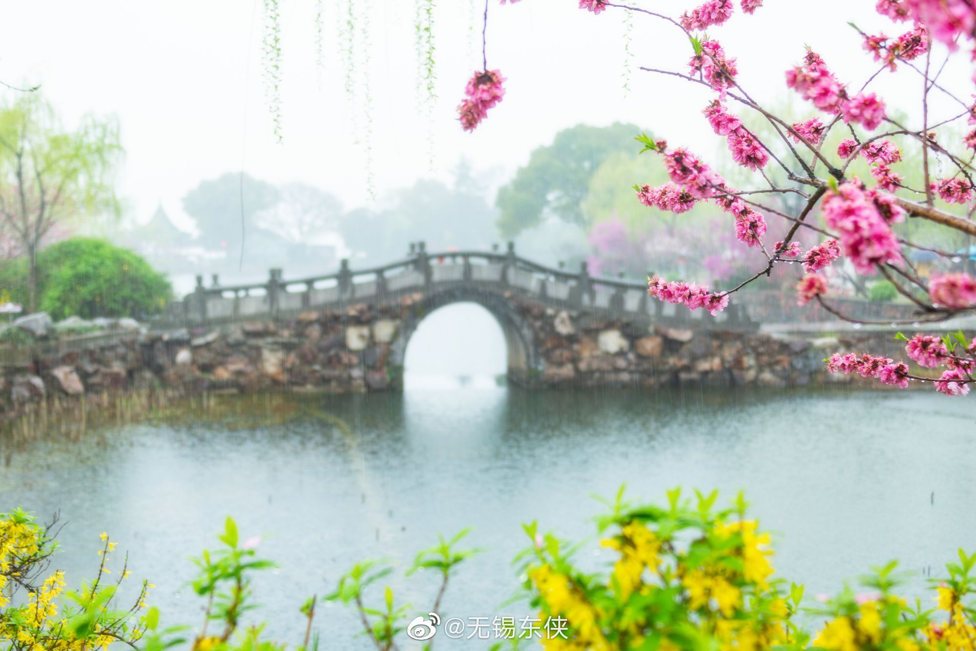 细雨如丝,薄雾如烟……__财经头条