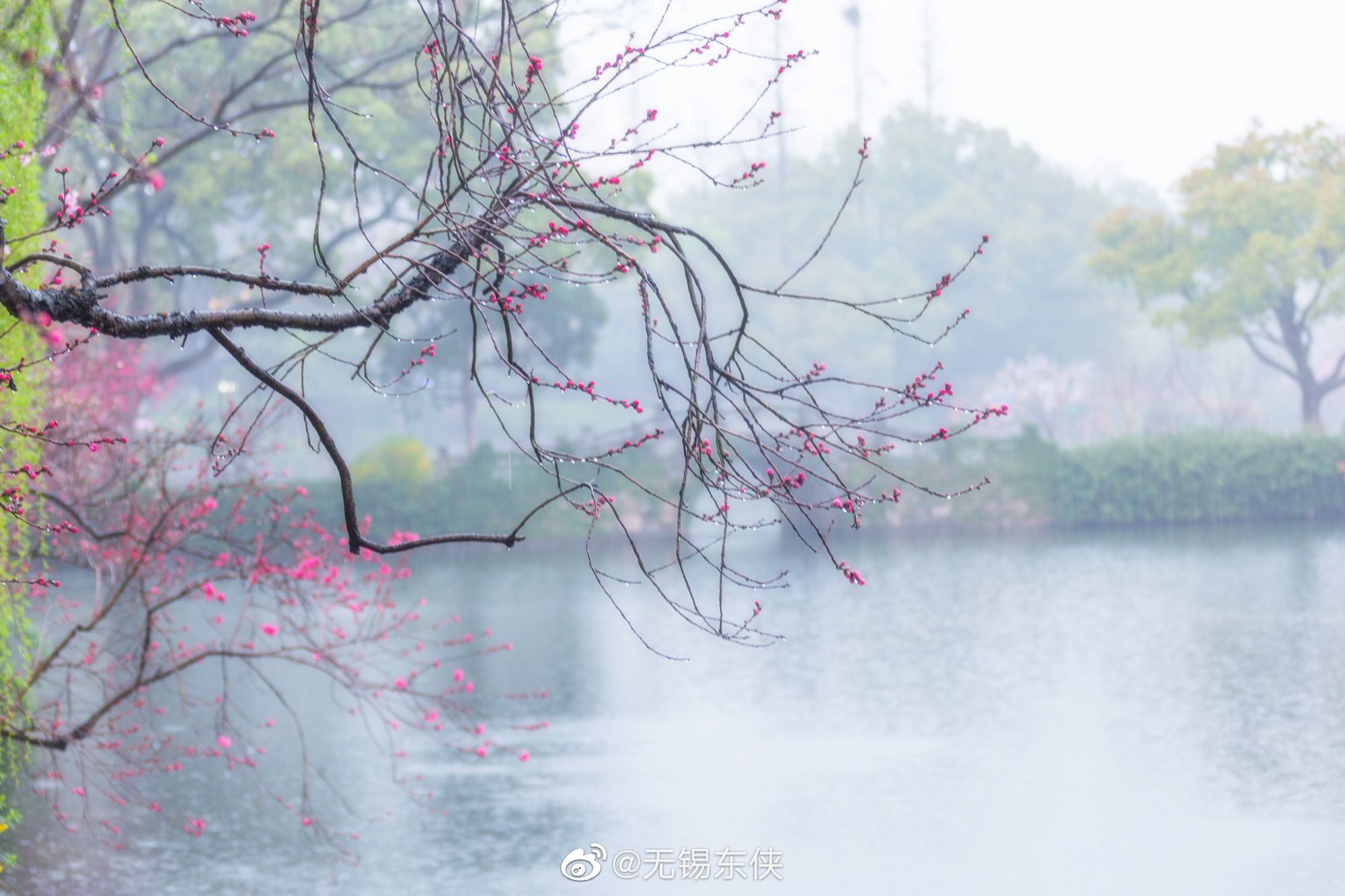 细雨如丝,薄雾如烟……__财经头条