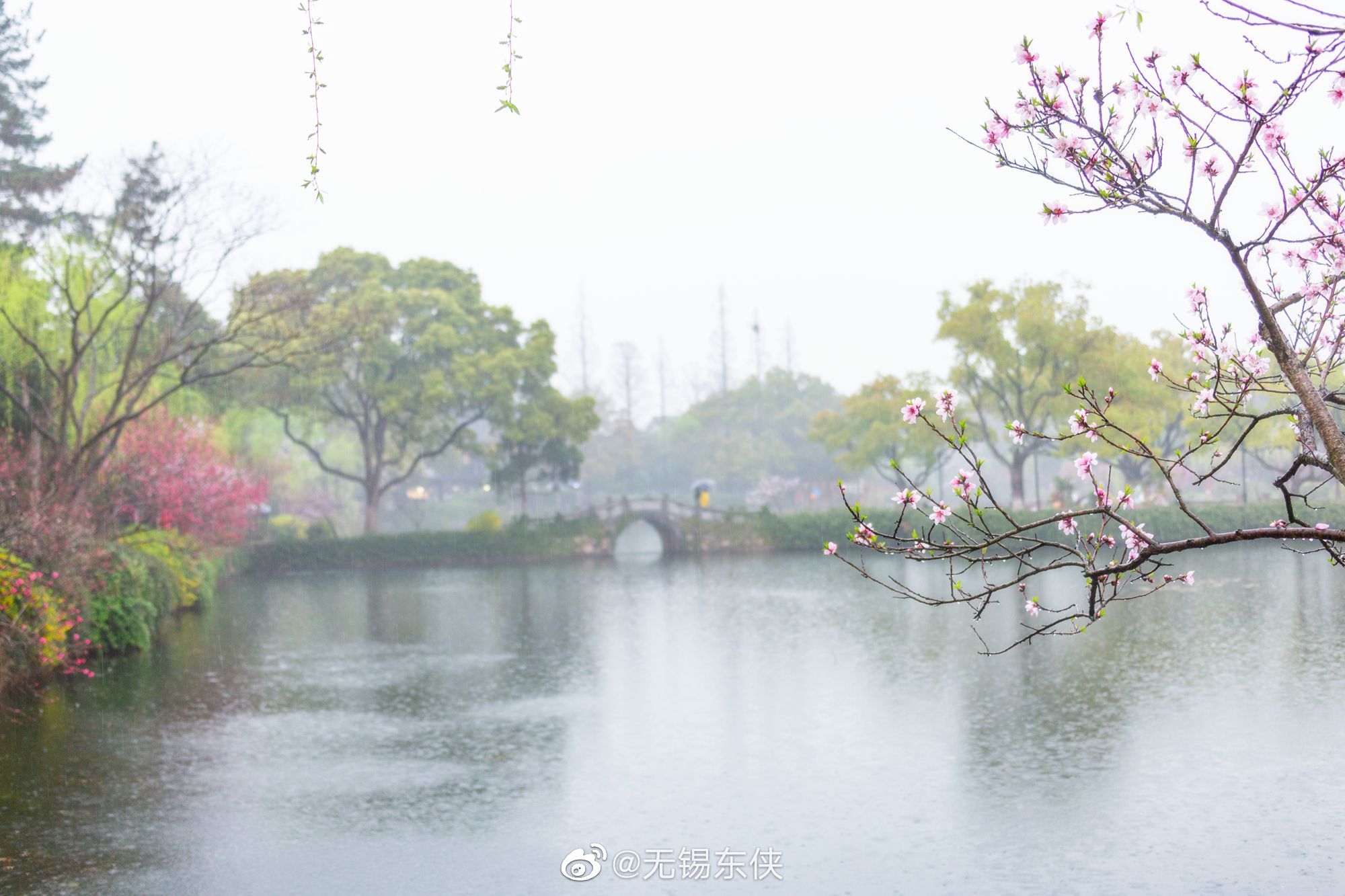 细雨如丝,薄雾如烟……__财经头条