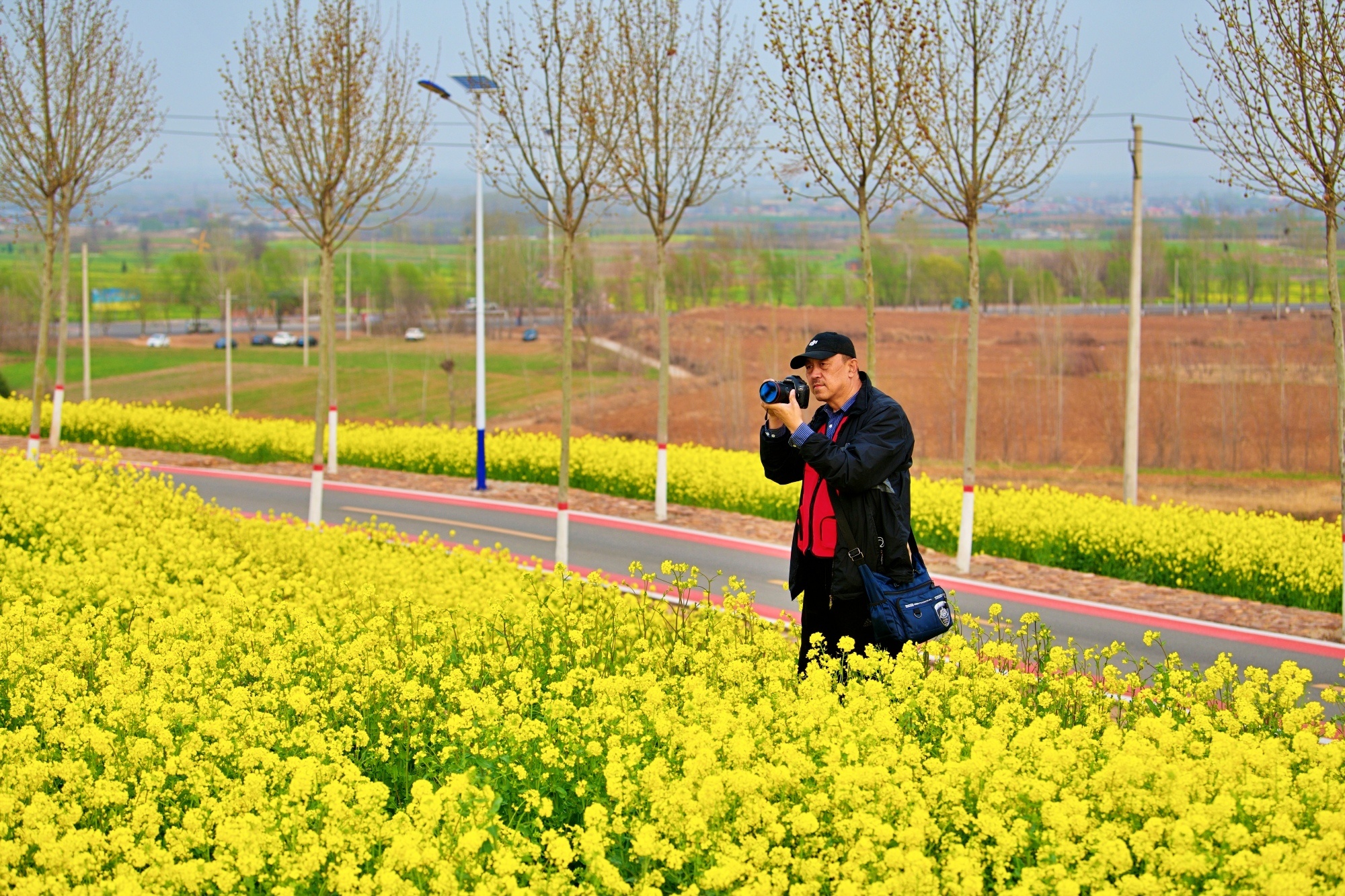 油菜花开3月24日下午金沙河红薯岭万亩油菜花海实景拍摄