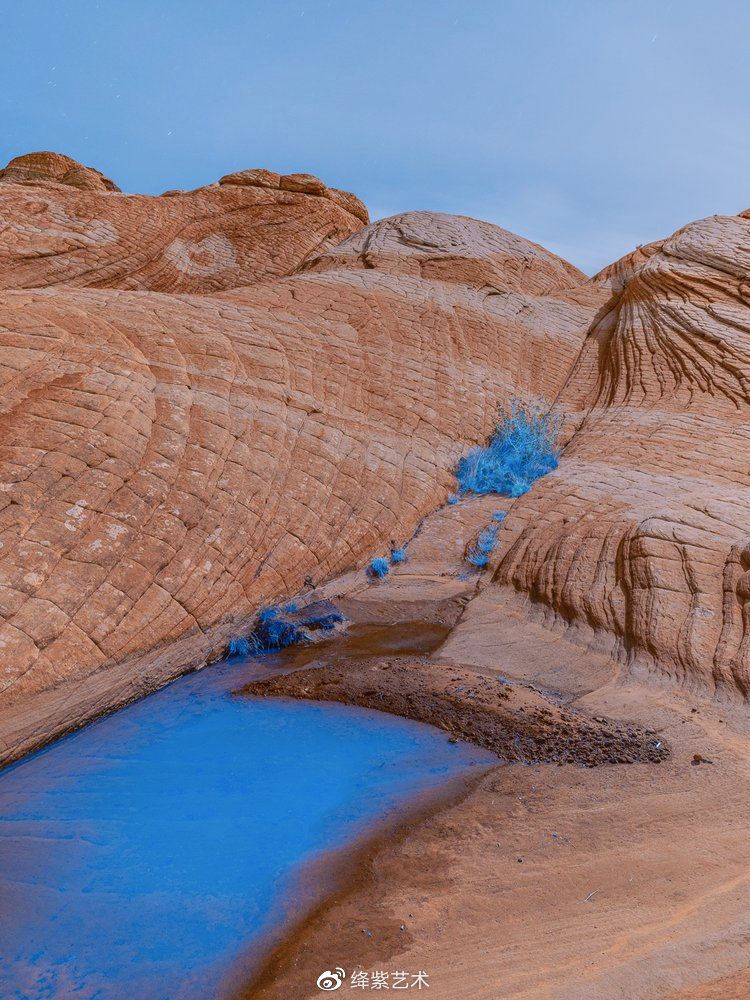 美得不像话，摄影师用紫外线摄影，让你看到一个神奇的世界休闲区蓝鸢梦想 - Www.slyday.coM