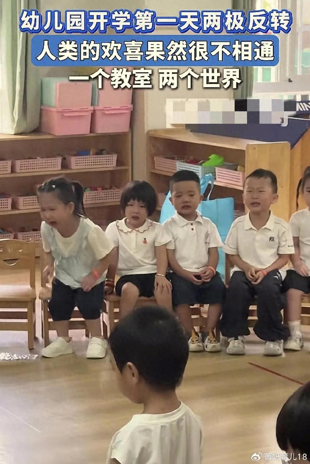 资深园长:那些上幼儿园不哭的孩子,大多来自于三类家庭