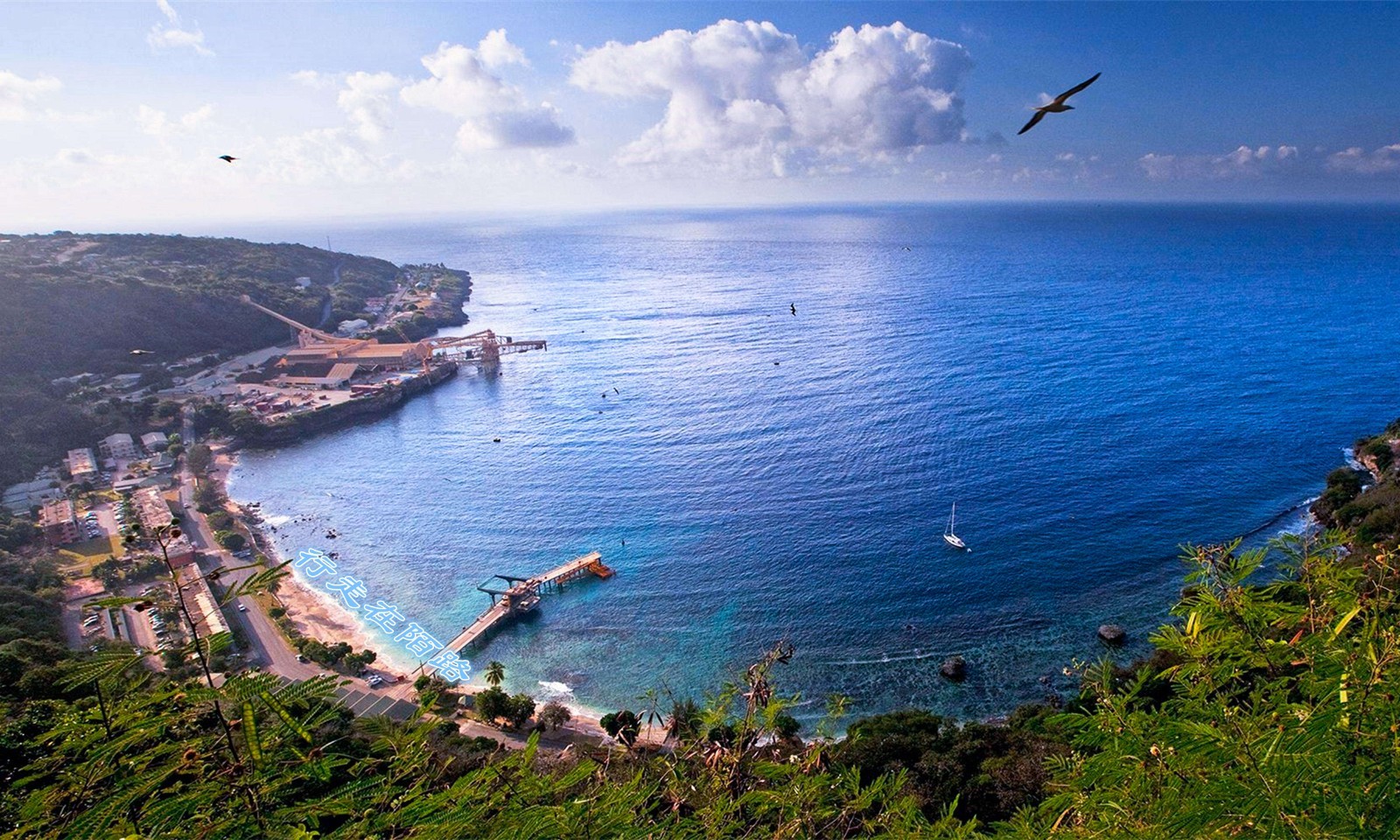 圣诞岛:六成华人只有30%承认祖先,螃蟹满地爬却不让吃|飞鱼|圣诞岛