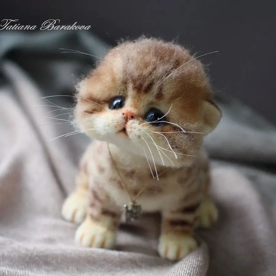 又被萌到了，真假难辨的羊毛毡小动物，让人忍不住想要戳一戳休闲区蓝鸢梦想 - Www.slyday.coM