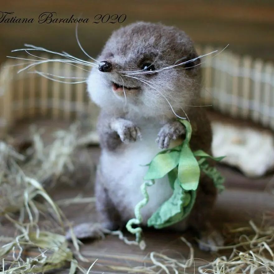 又被萌到了，真假难辨的羊毛毡小动物，让人忍不住想要戳一戳休闲区蓝鸢梦想 - Www.slyday.coM