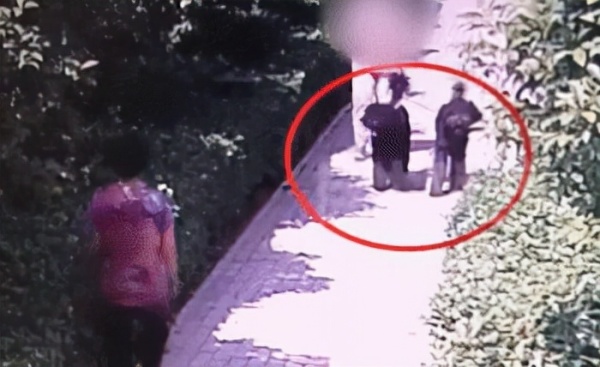 安阳“狗咬人”牵出旧案，这回的处置是再等俩月还是8年？休闲区蓝鸢梦想 - Www.slyday.coM