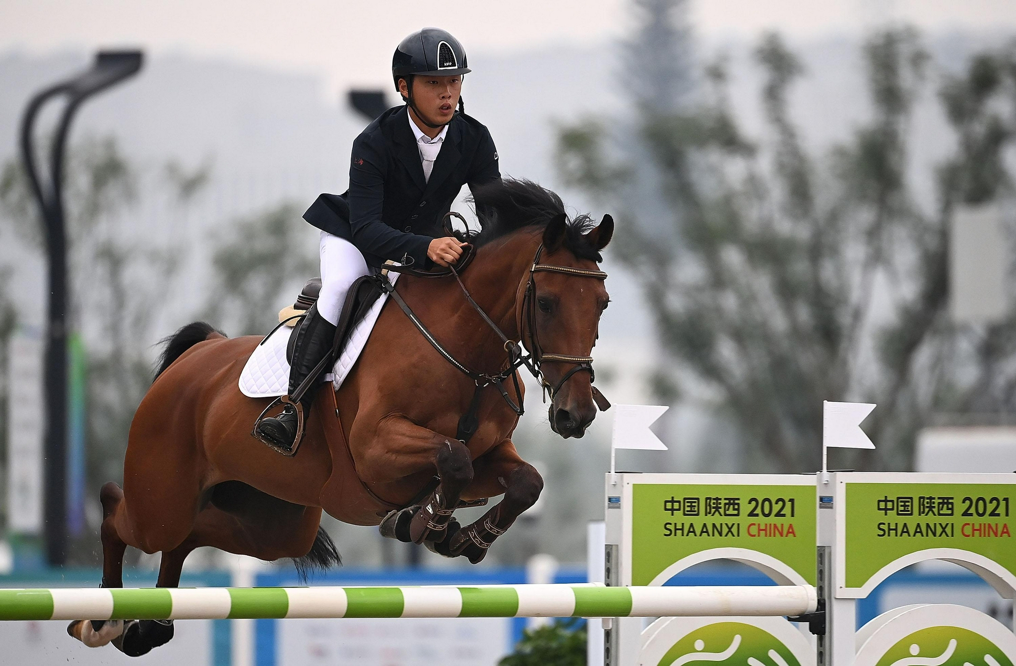 (全运会)马术——场地障碍团体赛:上海队夺冠