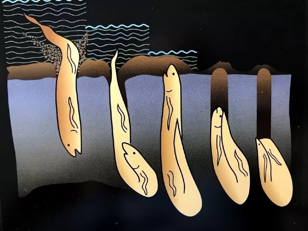 疫情后三年的生存法则:麻雀定律,肺鱼思维,螃蟹效应|疫情|新冠肺炎