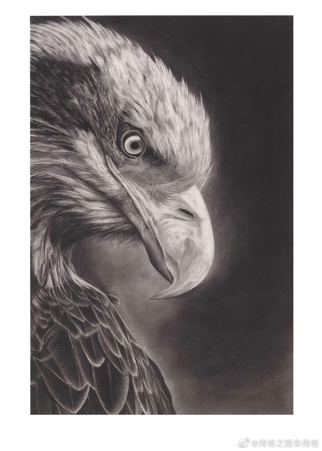 精微素描_高清图集_新浪网